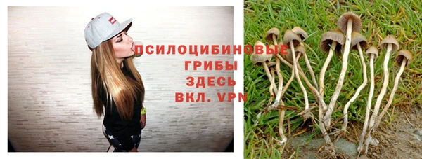 мдпв Баксан